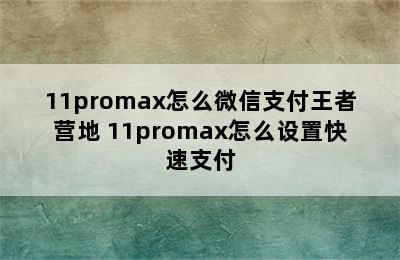 11promax怎么微信支付王者营地 11promax怎么设置快速支付